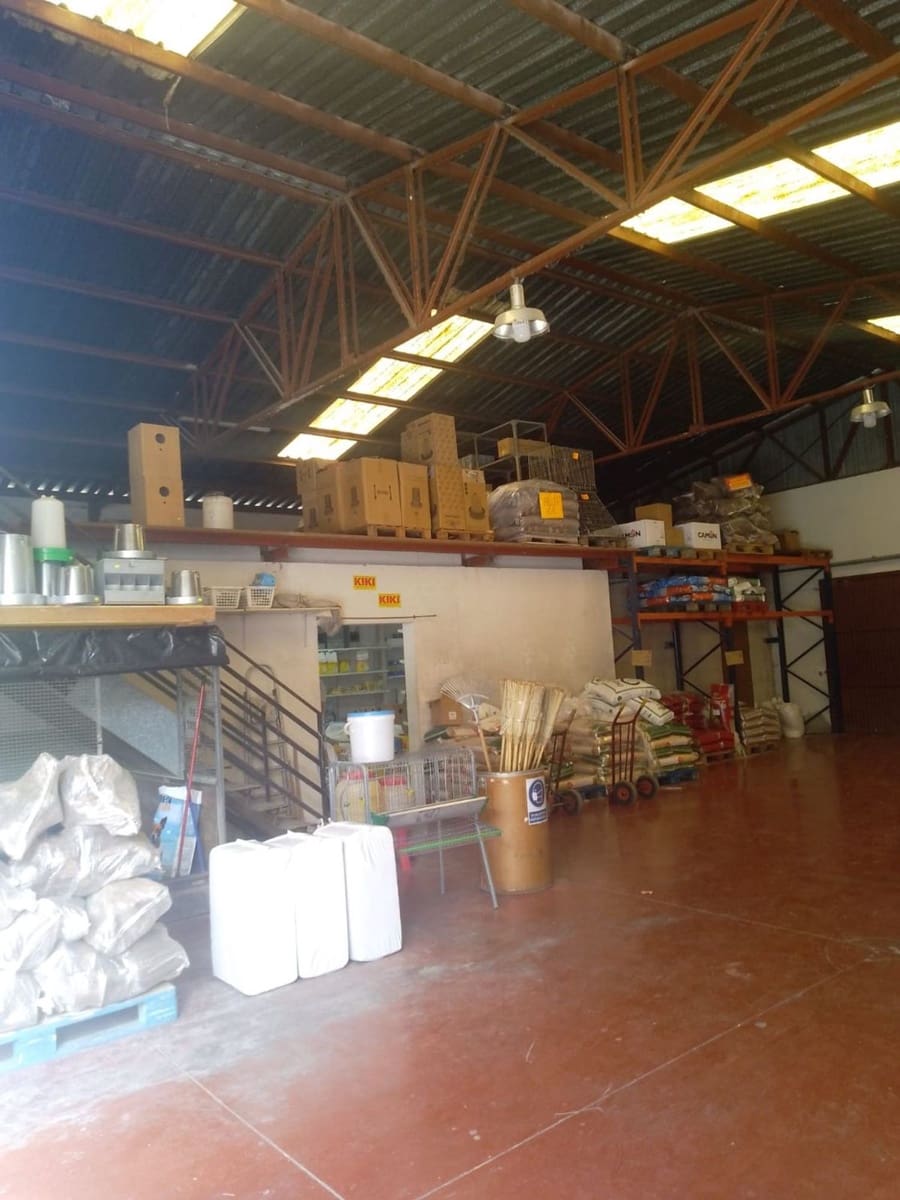 Kommersiell til salgs i Los Palacios - € 325 000 (Ref: 9798514)