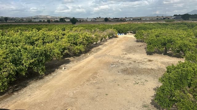 Terreno Non Edificato in vendita in Heredades, Almoradí - 318.000 € (Rif: 9895556)