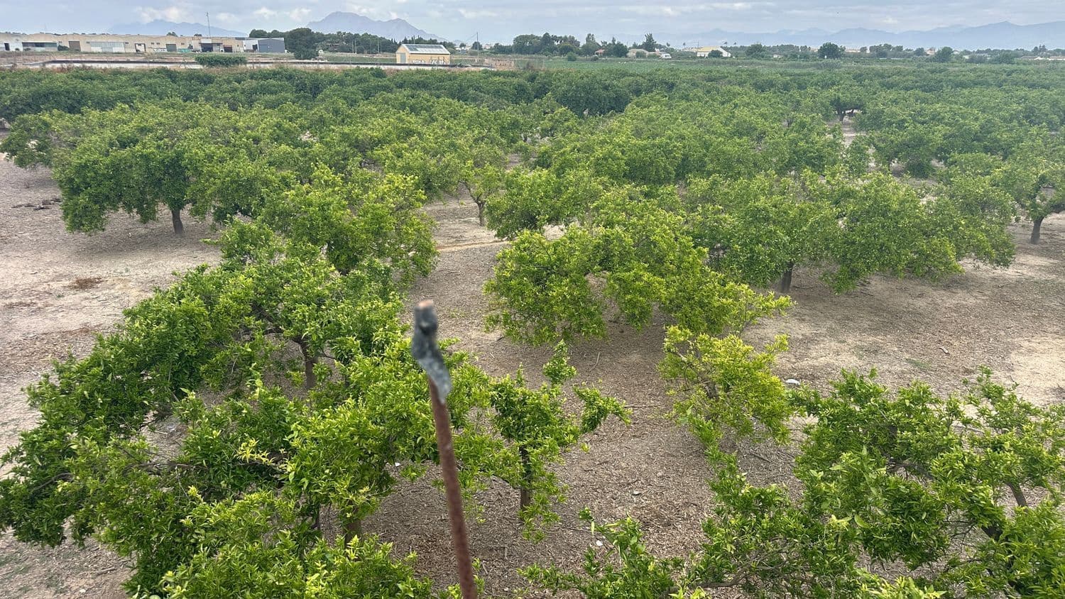 Terreno Non Edificato in vendita in Heredades - 318.000 € (Rif: 9895556)