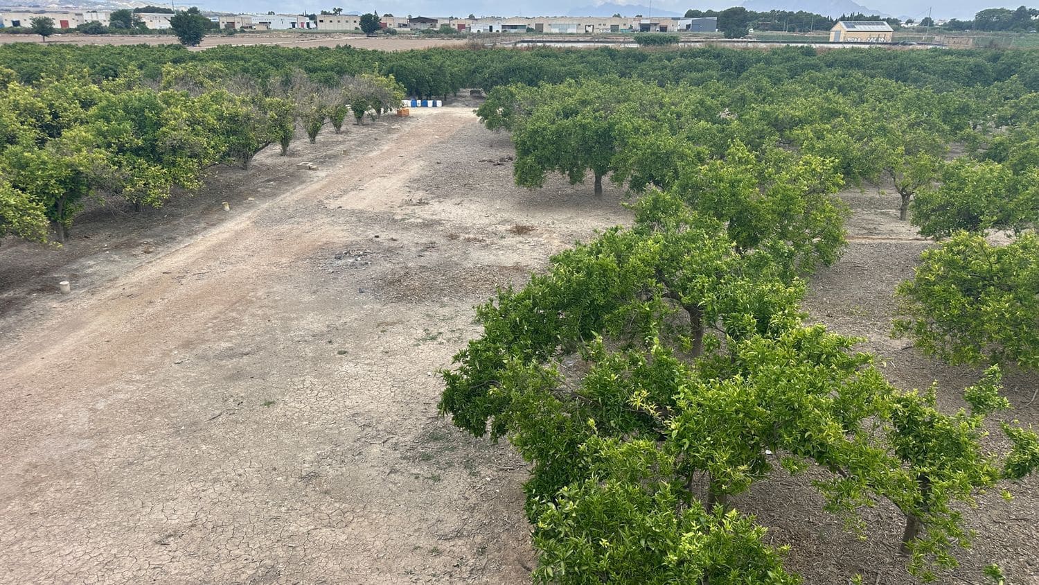 Terreno Non Edificato in vendita in Heredades - 318.000 € (Rif: 9895556)