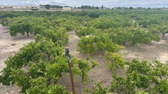 Terreno Non Edificato in vendita in Heredades, Almoradí - 318.000 € (Rif: 9895556)