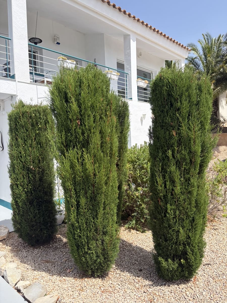 4 slaapkamer Villa te koop in El Perello met zwembad garage - € 398.000 (Ref: 10012229)