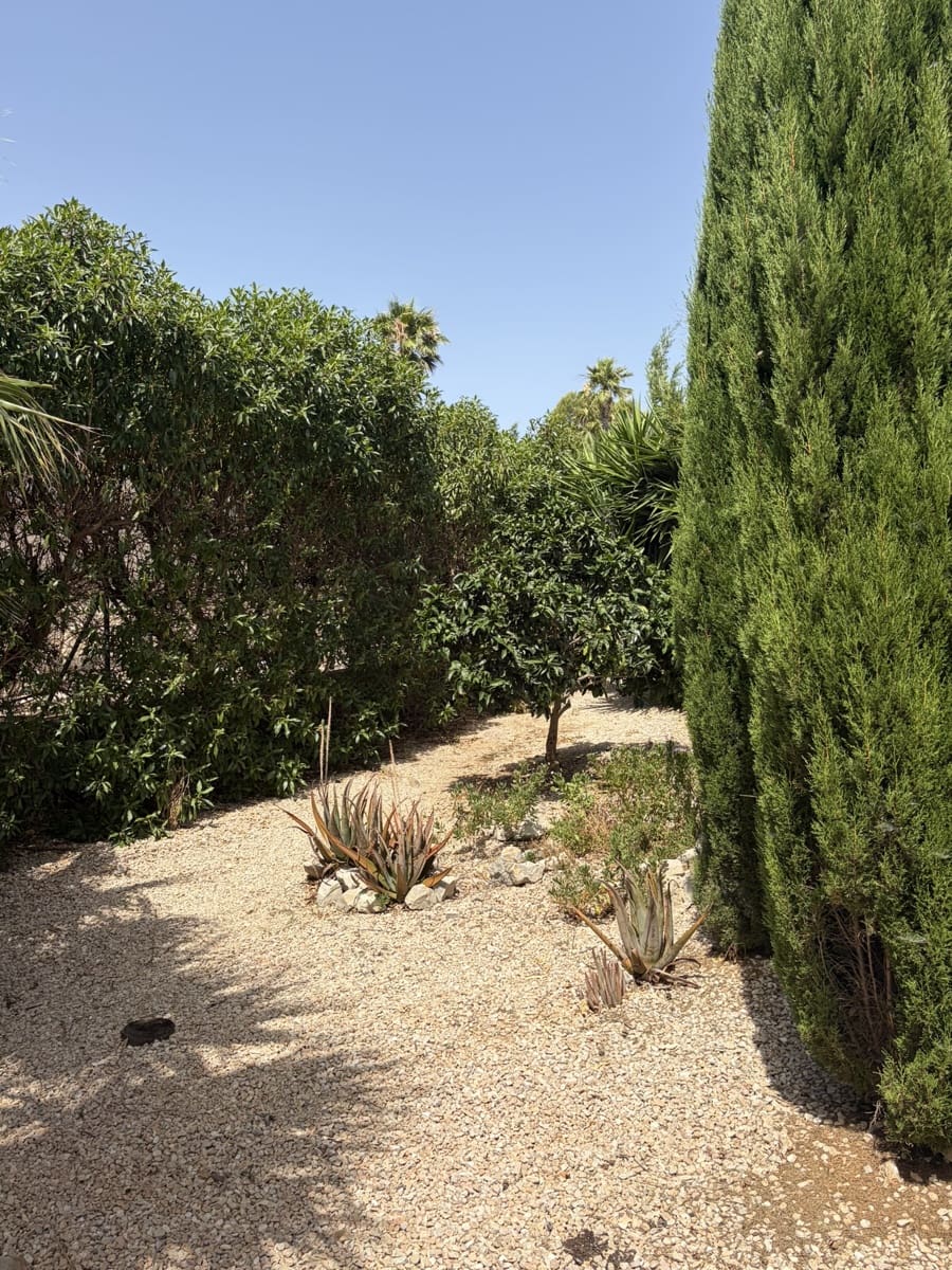 4 slaapkamer Villa te koop in El Perello met zwembad garage - € 398.000 (Ref: 10012229)