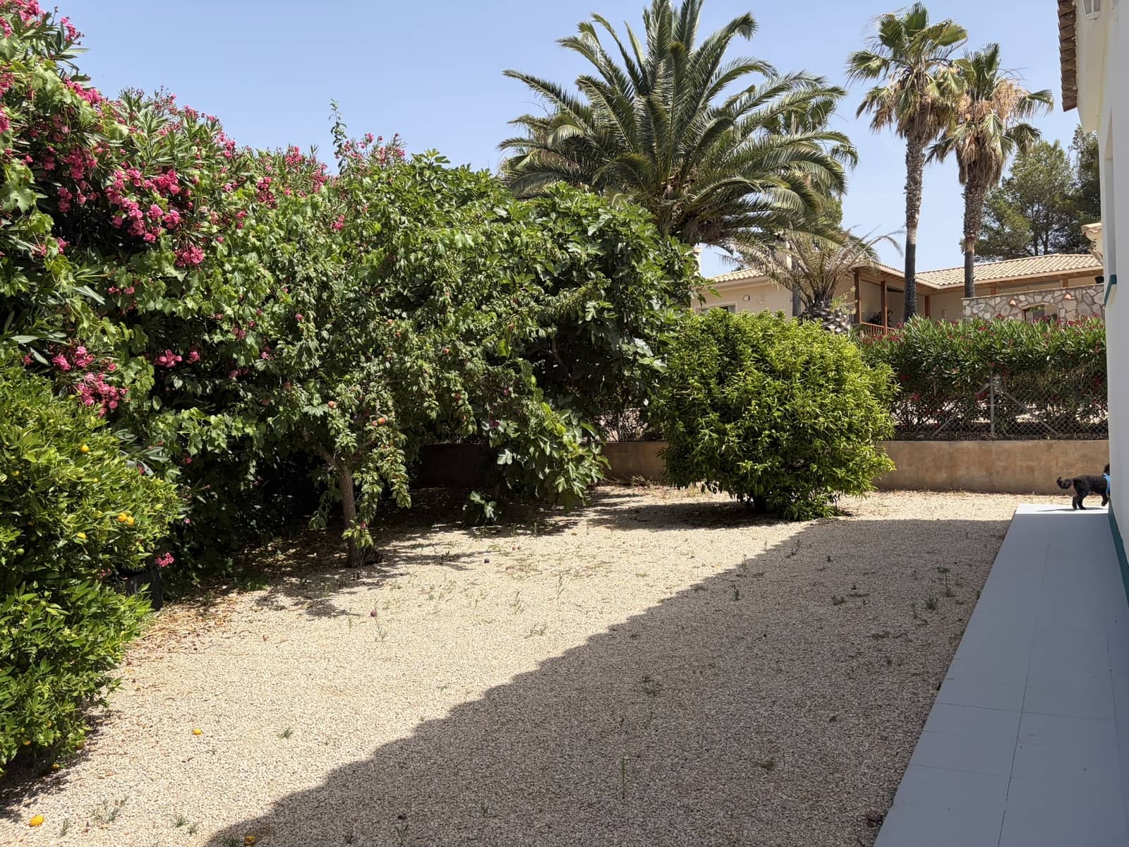 4 slaapkamer Villa te koop in El Perello met zwembad garage - € 398.000 (Ref: 10012229)