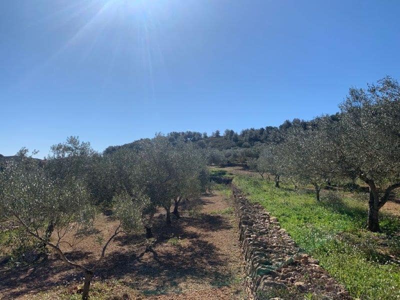 Finca/Herregård til salgs i El Perello - € 75 000 (Ref: 5969490)