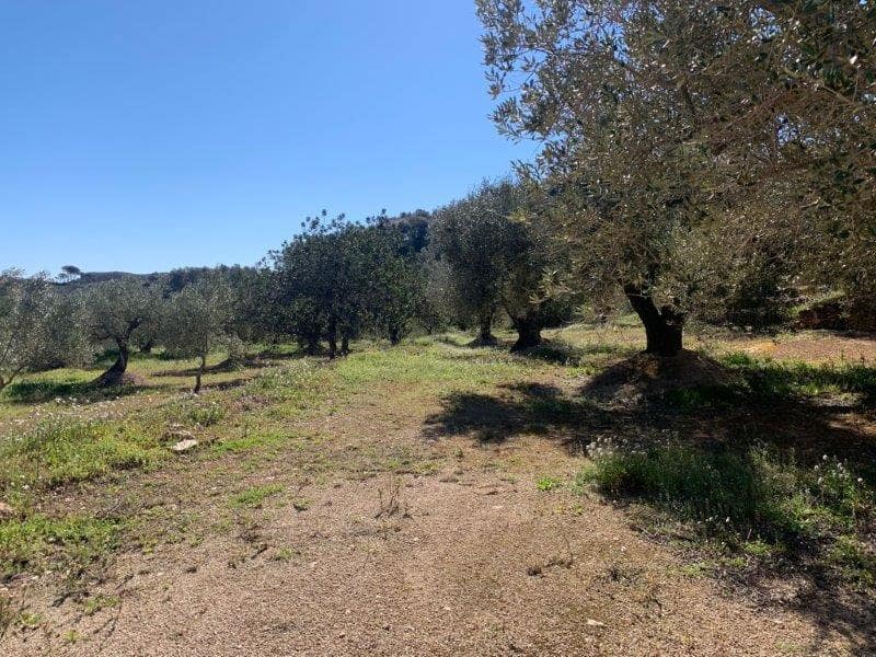 Finca/Herregård til salgs i El Perello - € 75 000 (Ref: 5969490)