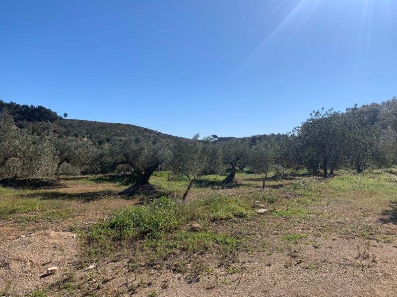 Finca/Herregård til salgs i El Perello - € 75 000 (Ref: 5969490)