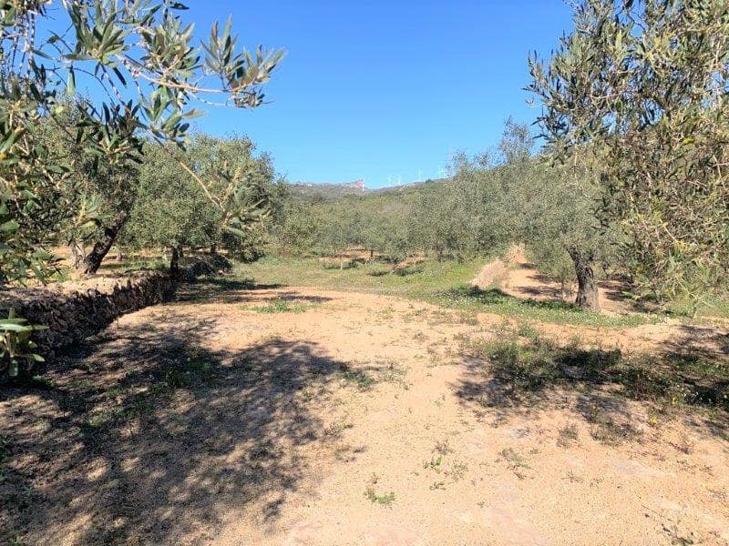 Finca/Herregård til salgs i El Perello - € 75 000 (Ref: 5969490)