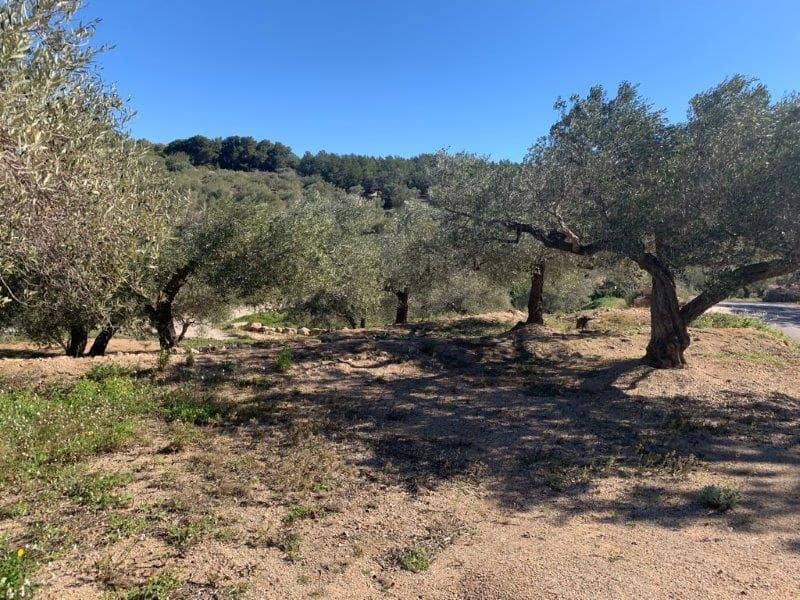 Finca/Herregård til salgs i El Perello - € 75 000 (Ref: 5969490)