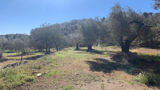 Finca/Herregård til salgs i El Perelló - € 75 000 (Ref: 5969490)
