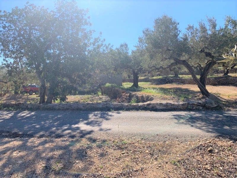 Finca/Herregård til salgs i El Perello - € 75 000 (Ref: 5969490)