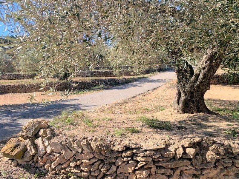 Finca/Herregård til salgs i El Perello - € 75 000 (Ref: 5969490)