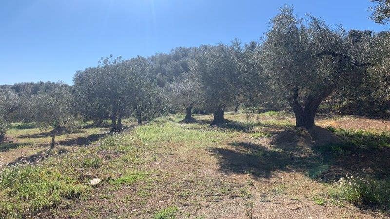 Finca/Country House for sale in El Perello - € 118,000 (Ref: 5969490)
