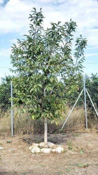 1 soveværelse Mobilhome til salg i Tivenys med garage - € 59.900 (Ref: 7113336)