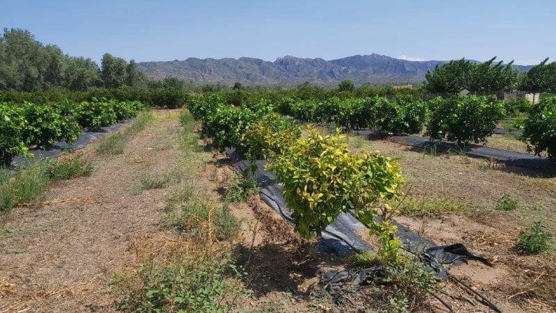 1 soveværelse Mobilhome til salg i Tivenys med garage - € 59.900 (Ref: 7113336)