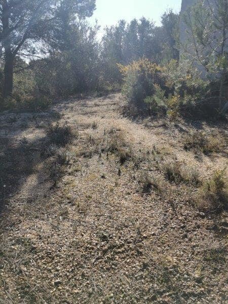 1 soverom Finca/Herregård til salgs i Tortosa - € 49 000 (Ref: 7409966)