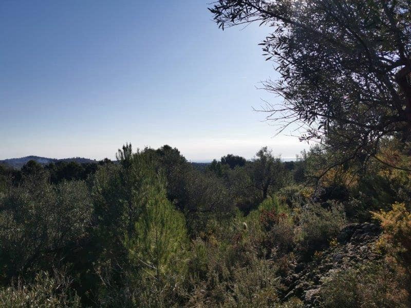 1 soverom Finca/Herregård til salgs i Tortosa - € 49 000 (Ref: 7409966)