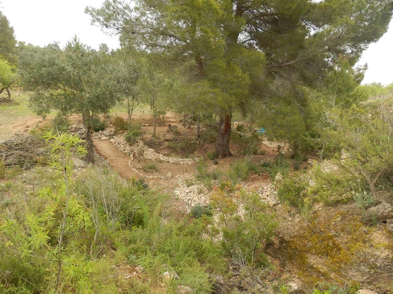 Finca/Landehus til salg i Miravet - € 39.000 (Ref: 8202275)