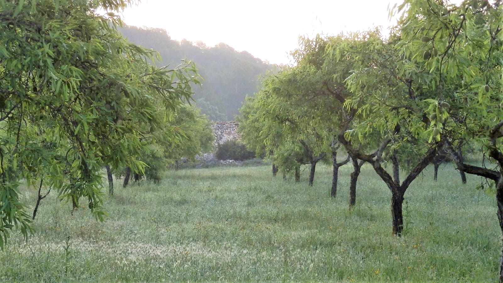 Finca/Landehus til salg i Miravet - € 39.000 (Ref: 8202275)