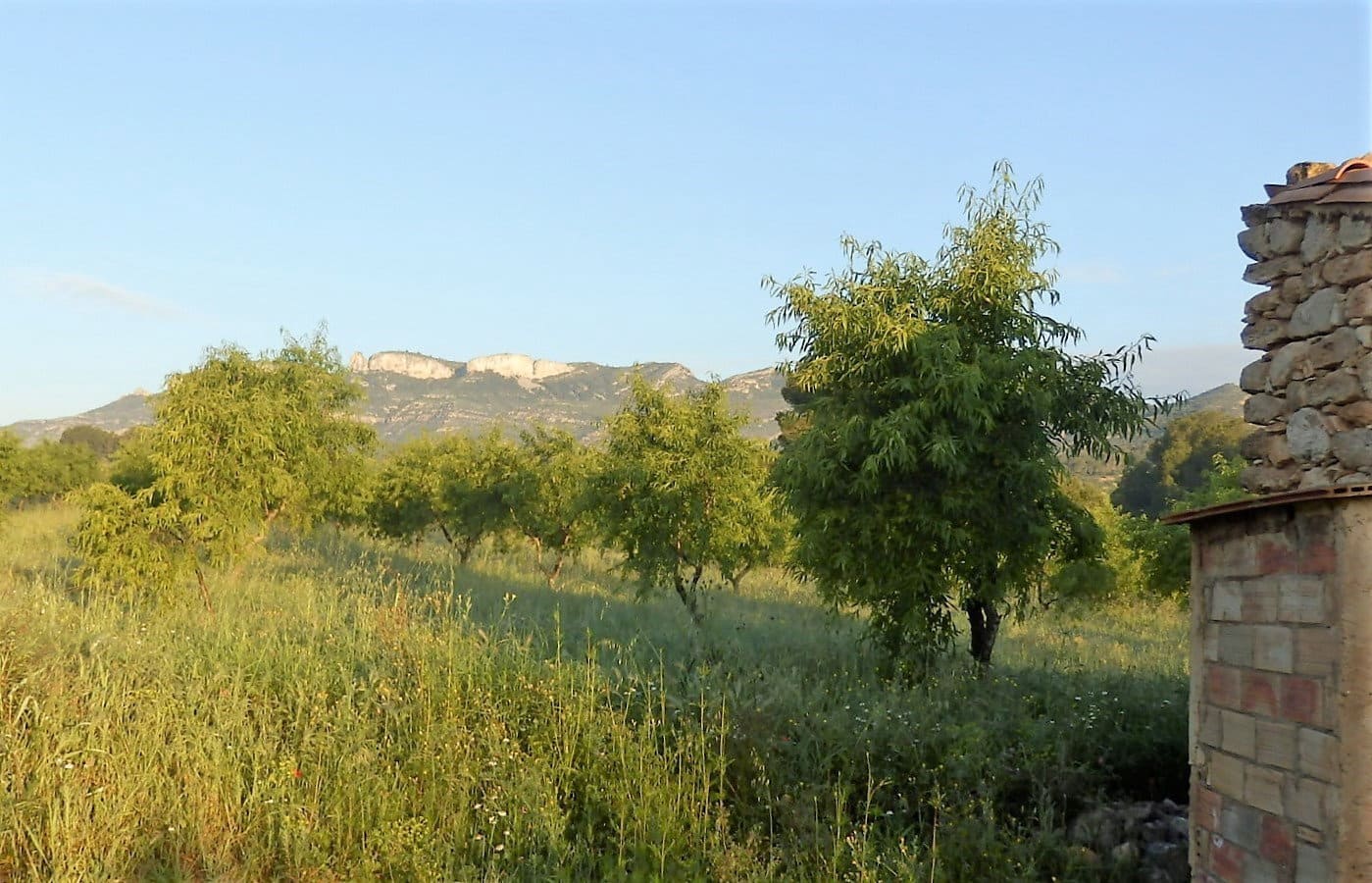 Finca/Country House for sale in Miravet - € 39,000 (Ref: 8202275)