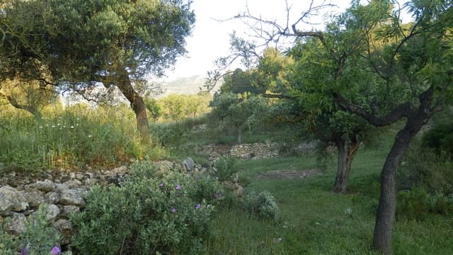 Quinta/Casa Rural para venda em Miravet - 39 000 € (Ref: 8202275)