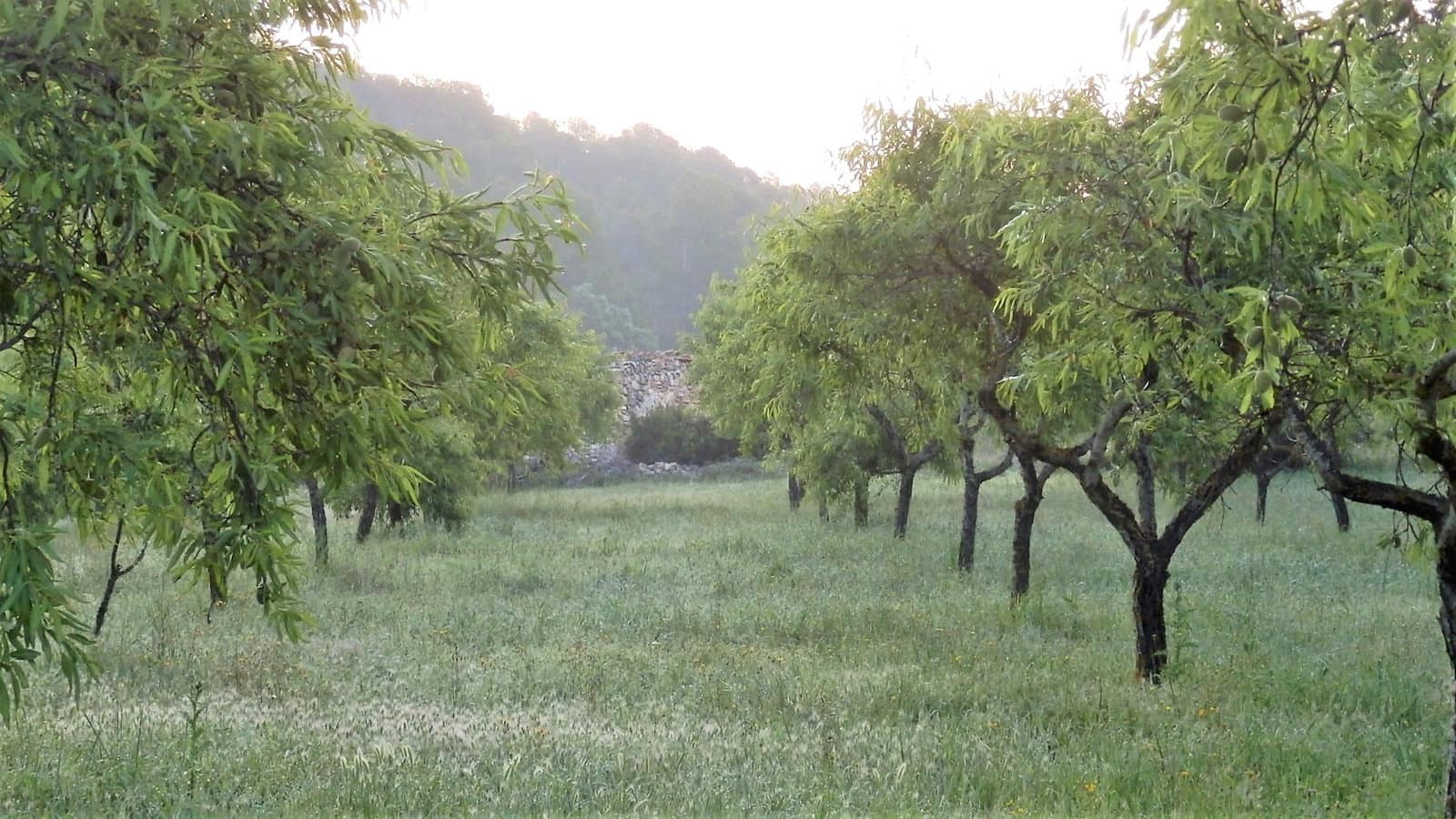 Finca/Country House for sale in Miravet - € 39,000 (Ref: 8202275)
