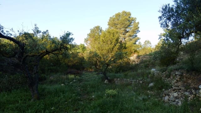 Quinta/Casa Rural para venda em Miravet - 39 000 € (Ref: 8202275)