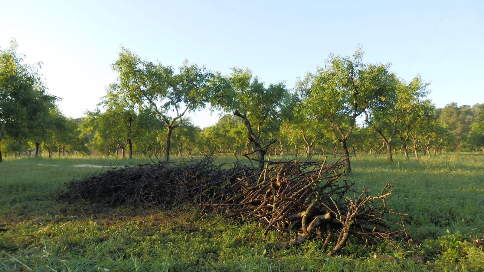 Finca/Country House for sale in Miravet - € 39,000 (Ref: 8202275)