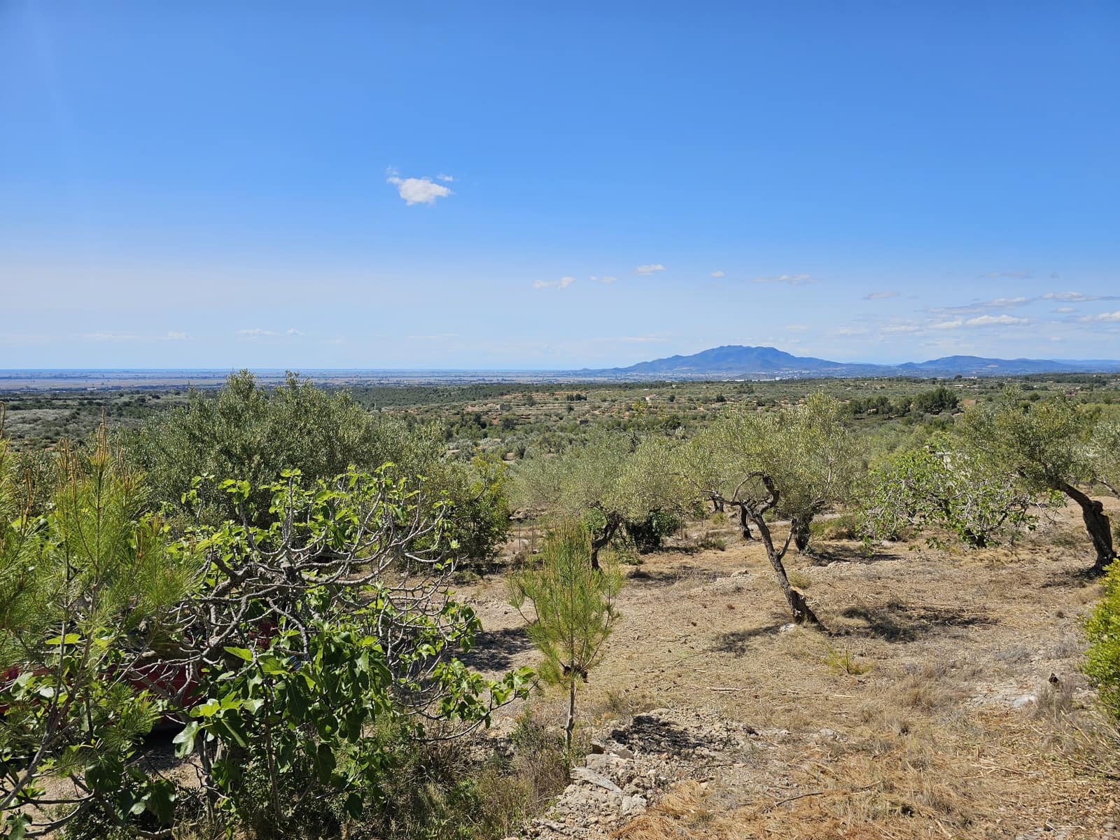 2 sovrum Finca/Hus på landet till salu i Camarles - 145 000 € (Ref: 8348633)