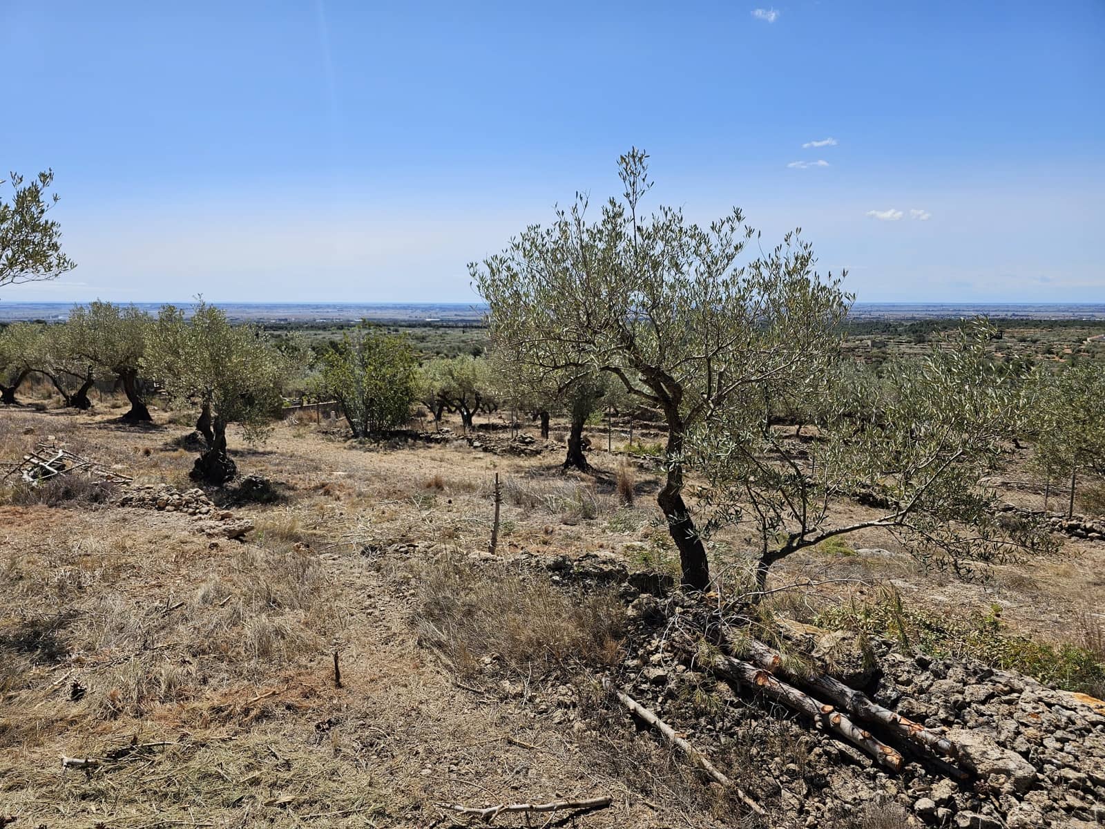2 sovrum Finca/Hus på landet till salu i Camarles - 145 000 € (Ref: 8348633)