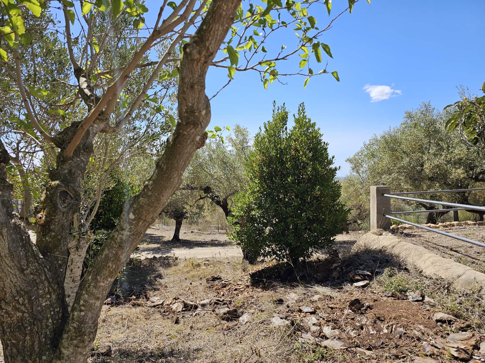 2 sovrum Finca/Hus på landet till salu i Camarles - 145 000 € (Ref: 8348633)