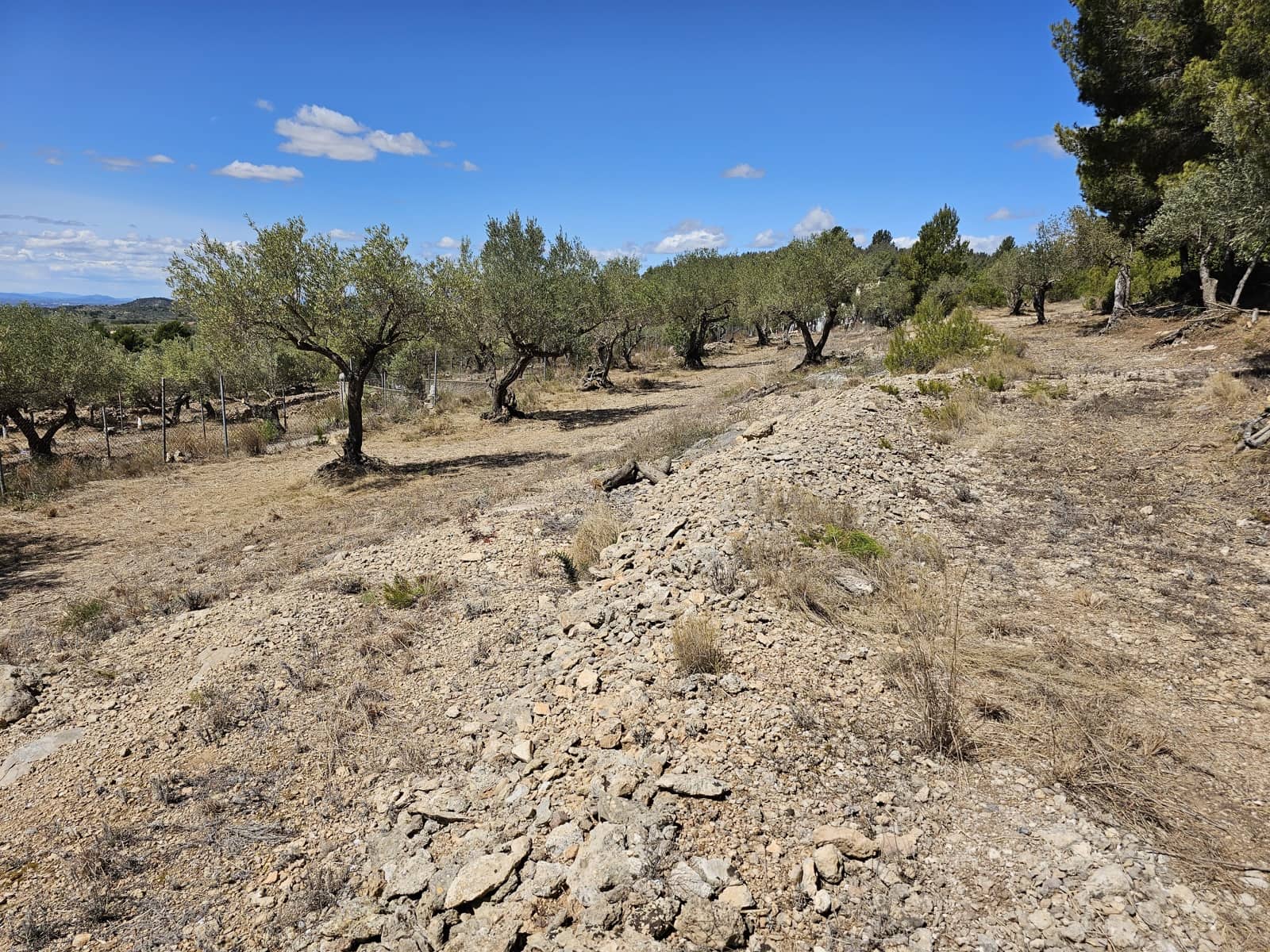 2 sovrum Finca/Hus på landet till salu i Camarles - 145 000 € (Ref: 8348633)