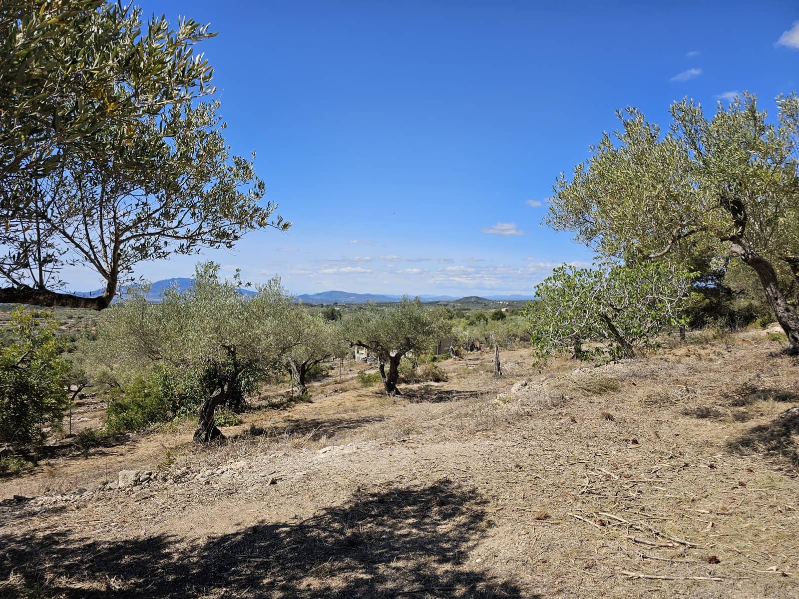 2 sovrum Finca/Hus på landet till salu i Camarles - 145 000 € (Ref: 8348633)