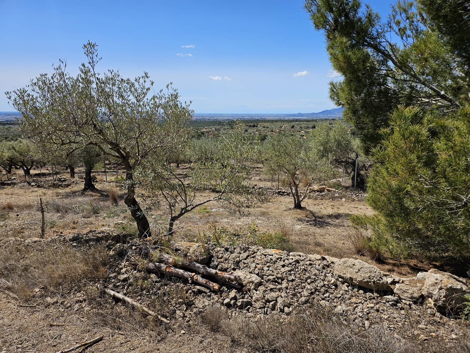 2 sovrum Finca/Hus på landet till salu i Camarles - 145 000 € (Ref: 8348633)