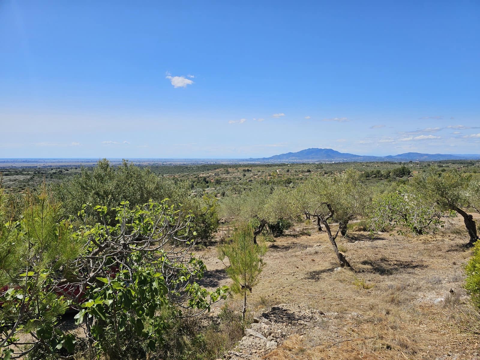 2 bedroom Finca/Country House for sale in Camarles - € 145,000 (Ref: 8348633)