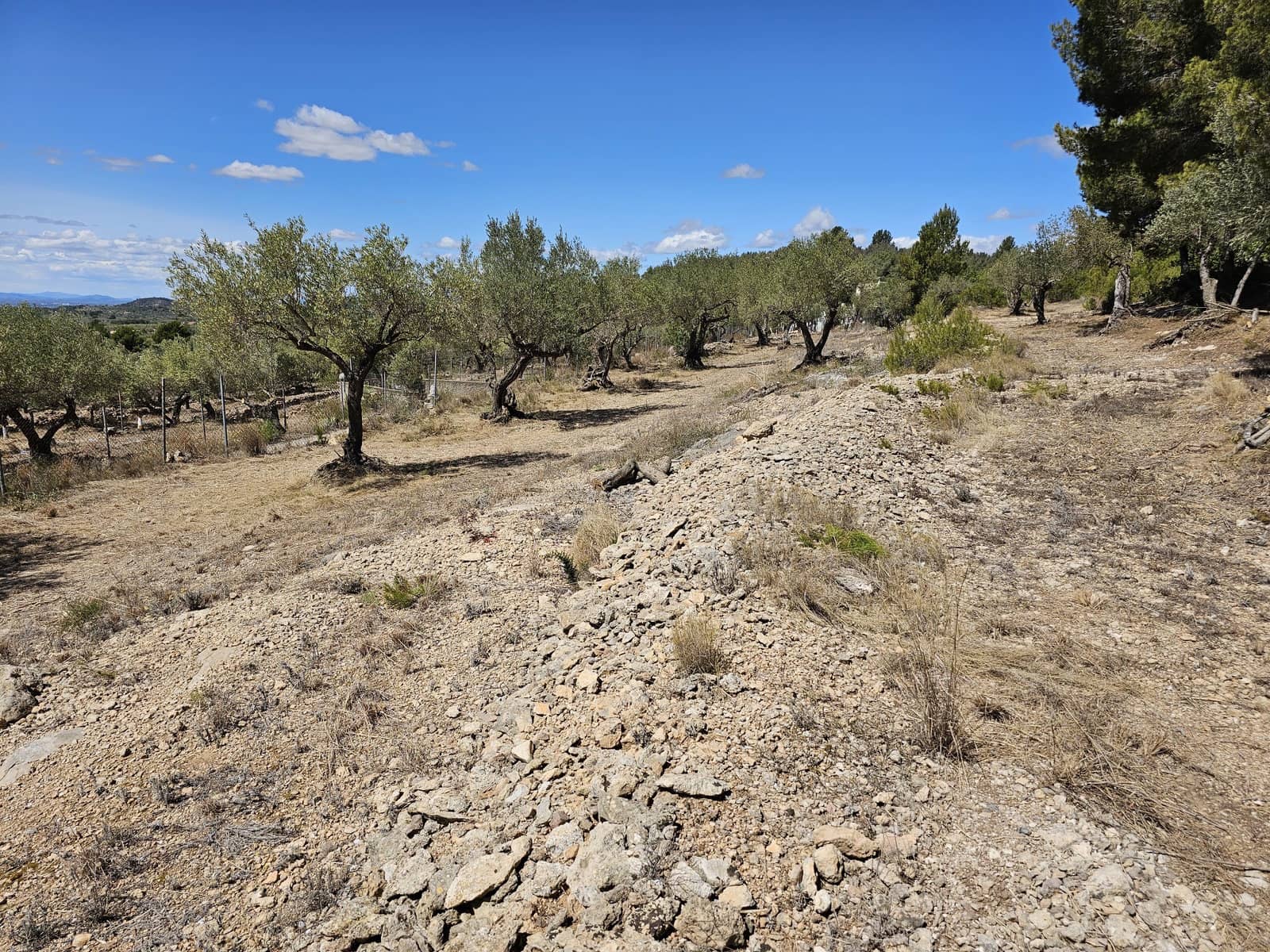 2 bedroom Finca/Country House for sale in Camarles - € 145,000 (Ref: 8348633)
