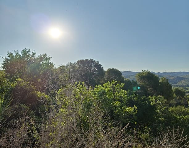 2 camera da letto Finca/Casa di Campagna in vendita in Aldover con piscina garage - 79.000 € (Rif: 8466847)