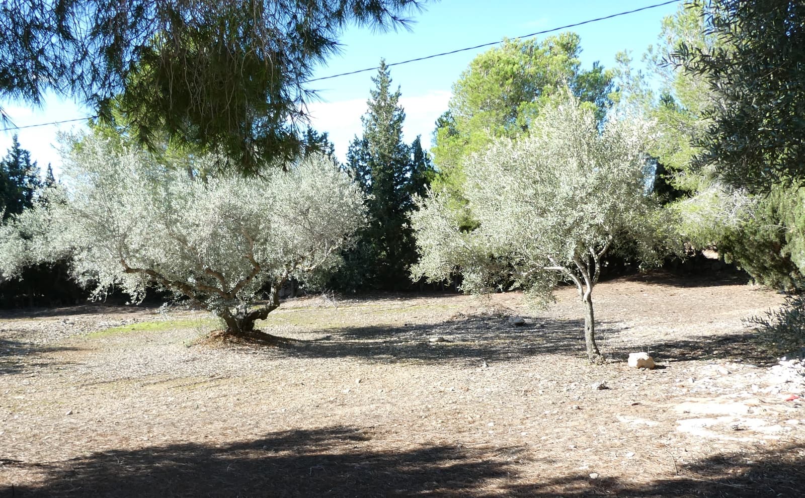 4 soveværelse Finca/Landehus til salg i L'Ampolla med swimmingpool garage - € 295.000 (Ref: 8560681)