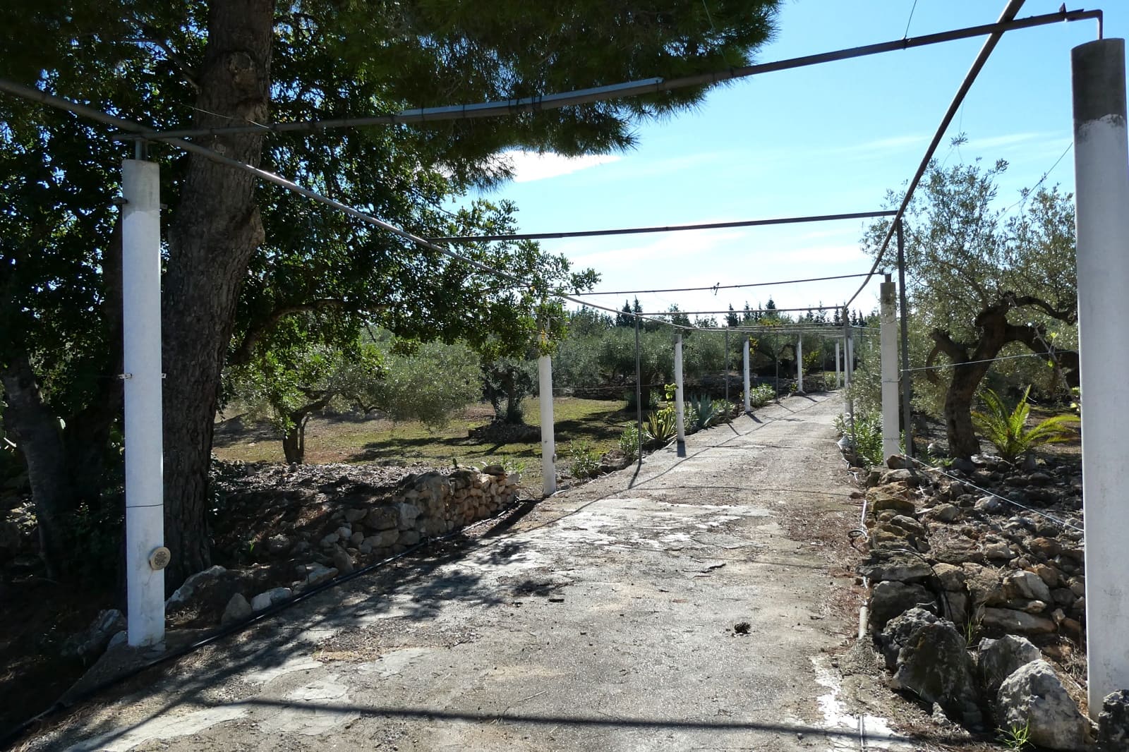 4 soveværelse Finca/Landehus til salg i L'Ampolla med swimmingpool garage - € 295.000 (Ref: 8560681)