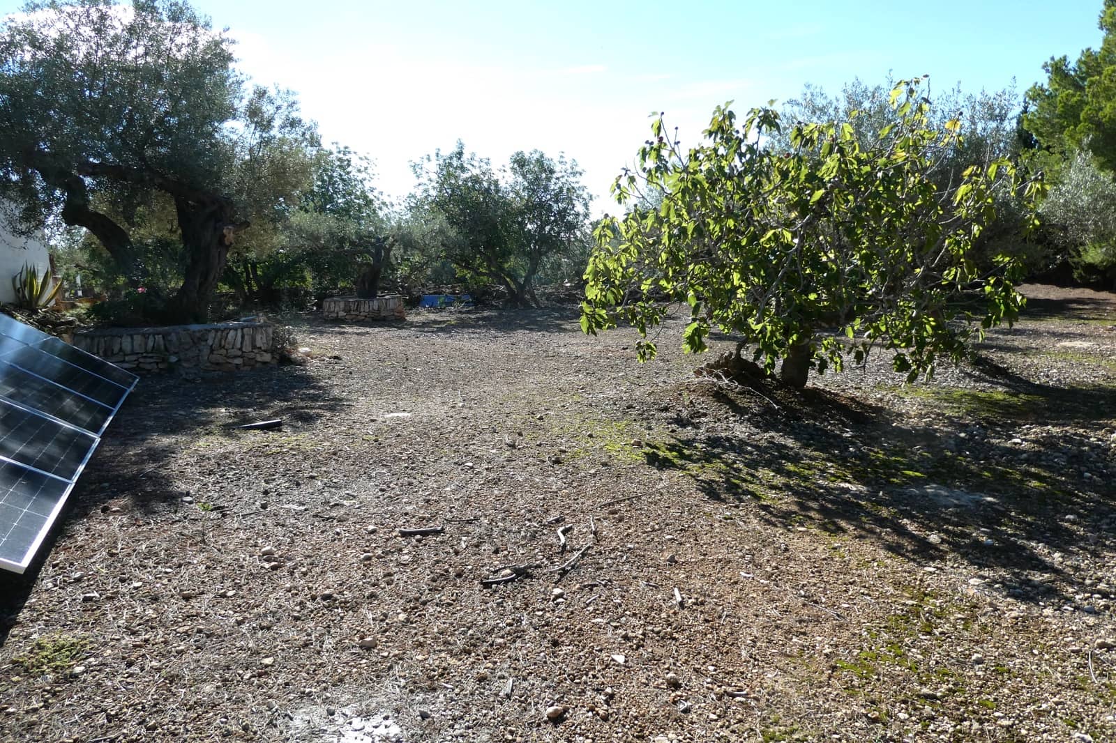 4 soveværelse Finca/Landehus til salg i L'Ampolla med swimmingpool garage - € 295.000 (Ref: 8560681)