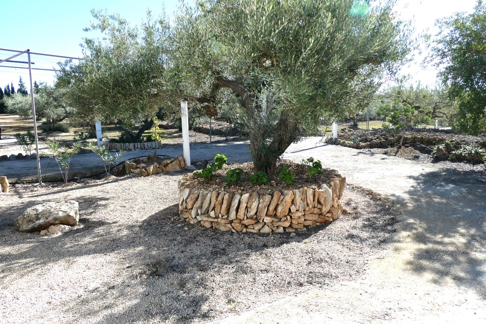 4 soveværelse Finca/Landehus til salg i L'Ampolla med swimmingpool garage - € 295.000 (Ref: 8560681)