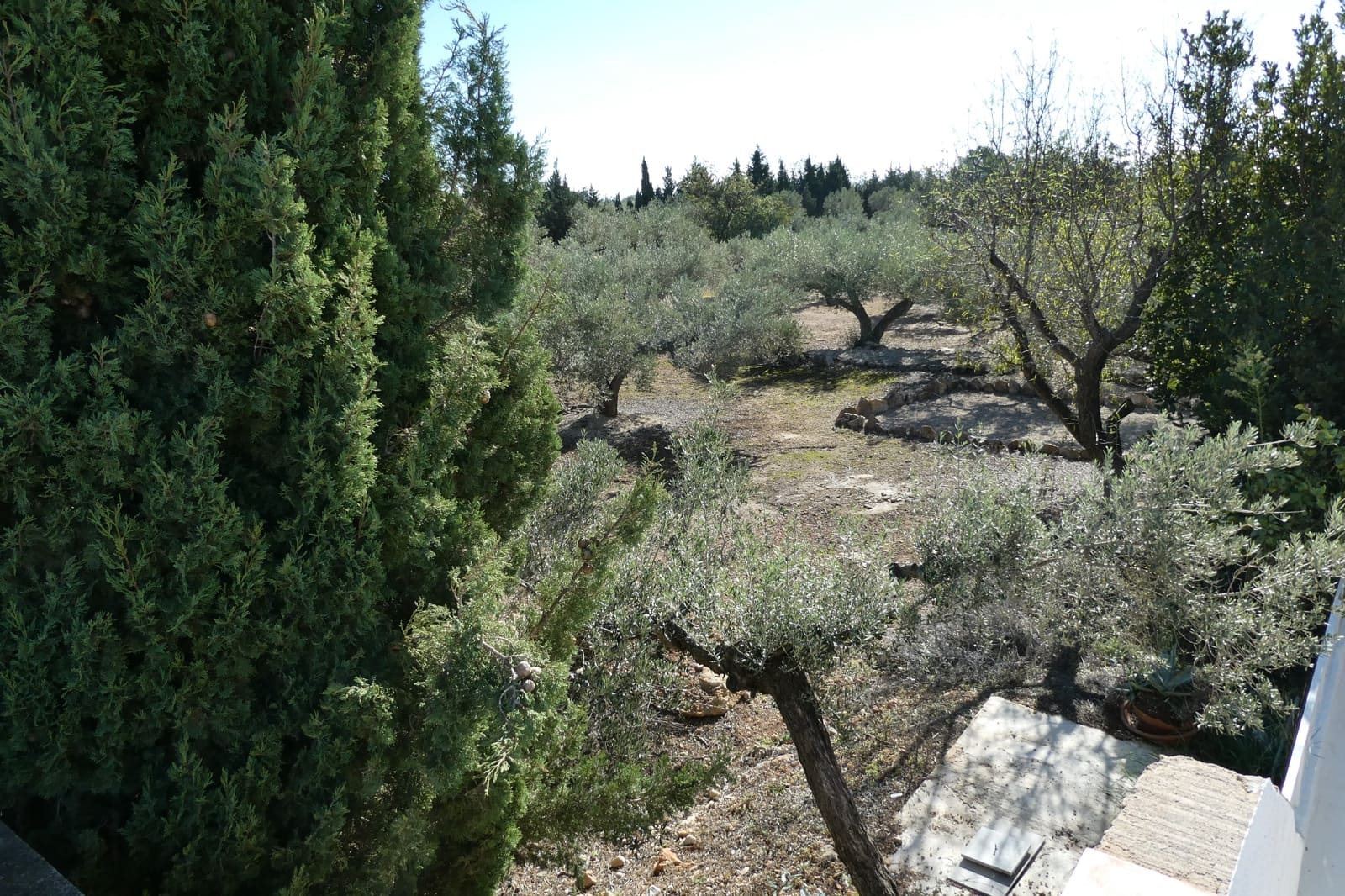 4 soveværelse Finca/Landehus til salg i L'Ampolla med swimmingpool garage - € 295.000 (Ref: 8560681)