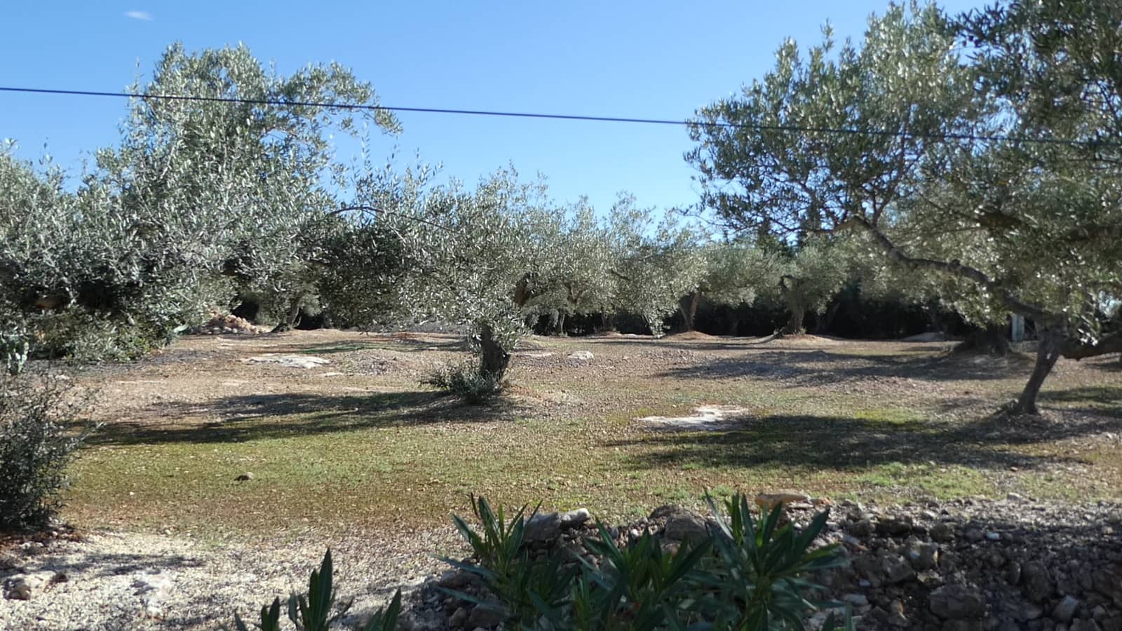 4 soveværelse Finca/Landehus til salg i L'Ampolla med swimmingpool garage - € 295.000 (Ref: 8560681)