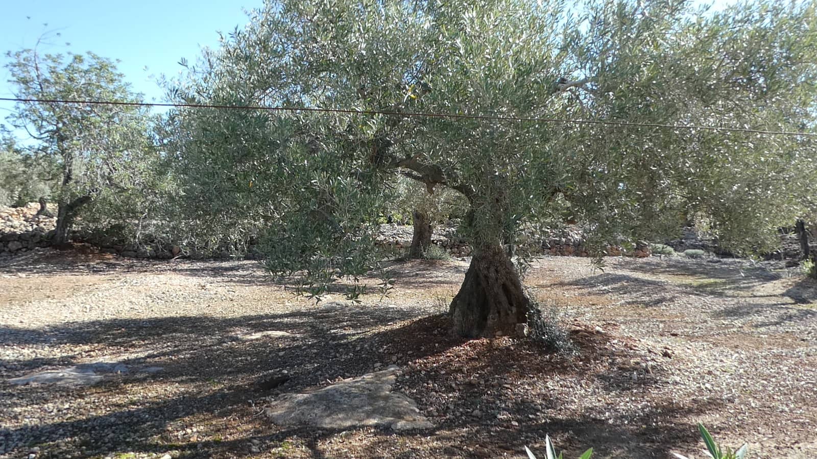 4 soveværelse Finca/Landehus til salg i L'Ampolla med swimmingpool garage - € 295.000 (Ref: 8560681)