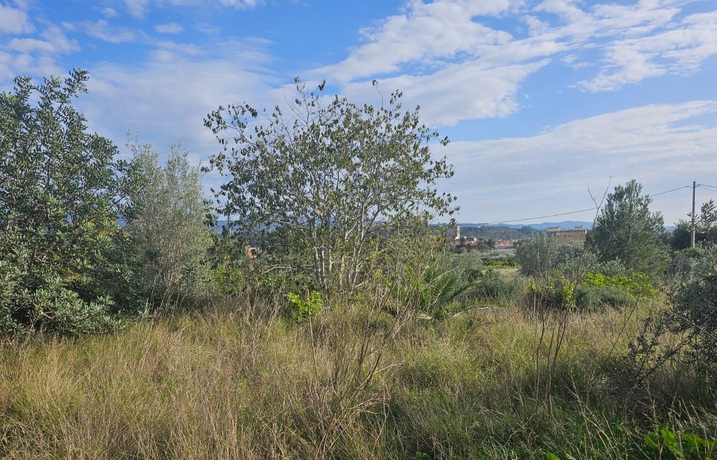 Finca/Landehus til salg i Xerta - € 35.000 (Ref: 8653445)