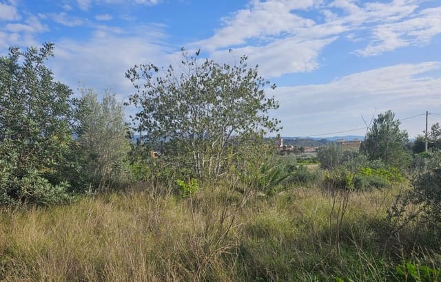 Finca/Landehus til salg i Xerta - € 35.000 (Ref: 8653445)