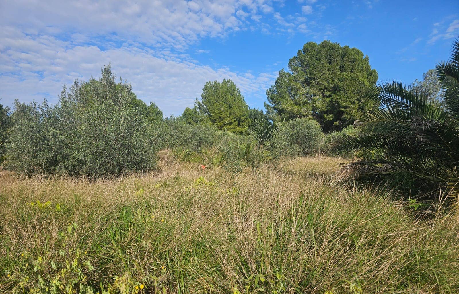 Finca/Landehus til salg i Xerta - € 35.000 (Ref: 8653445)