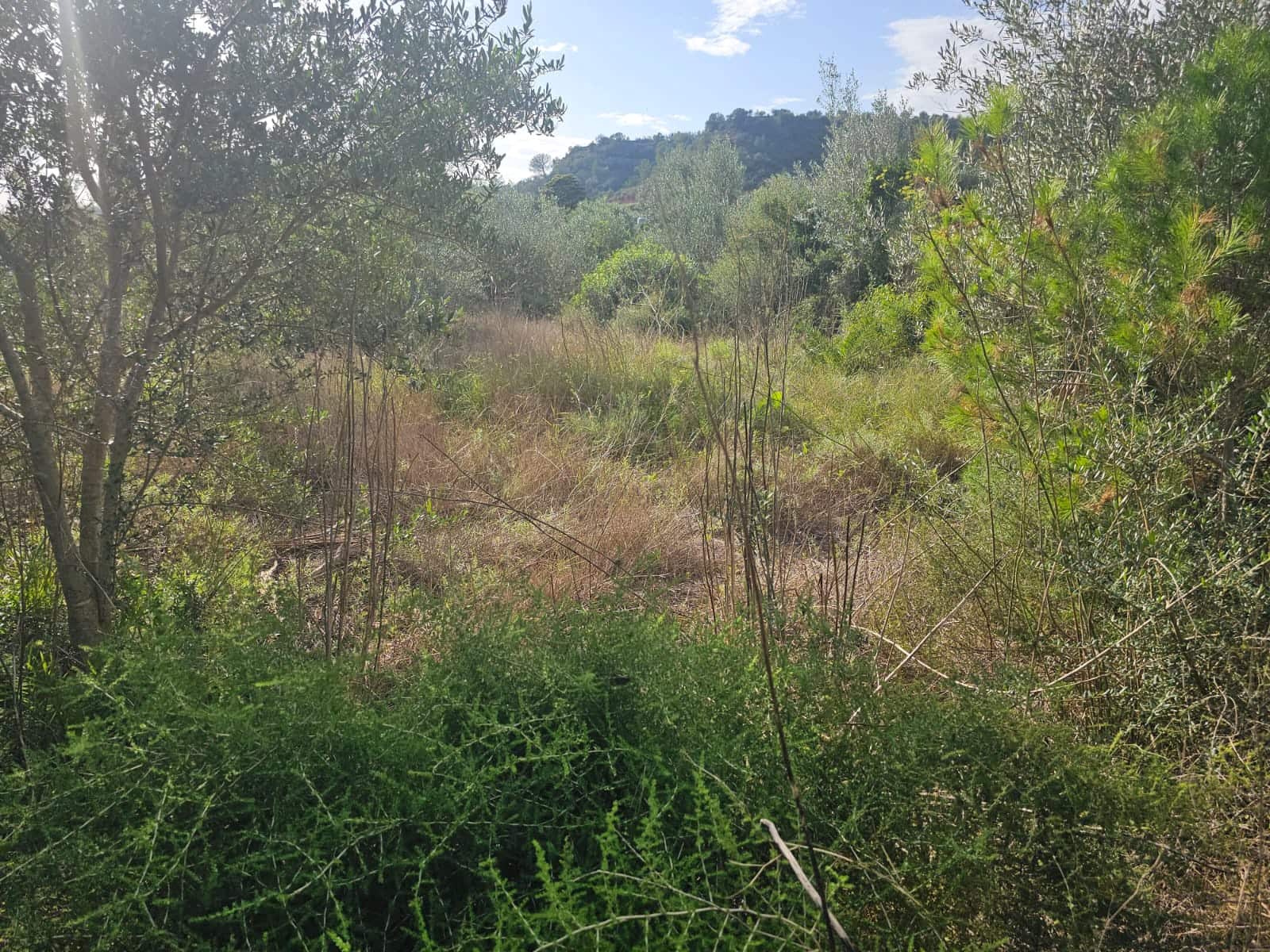 Finca/Landehus til salg i Xerta - € 35.000 (Ref: 8653445)