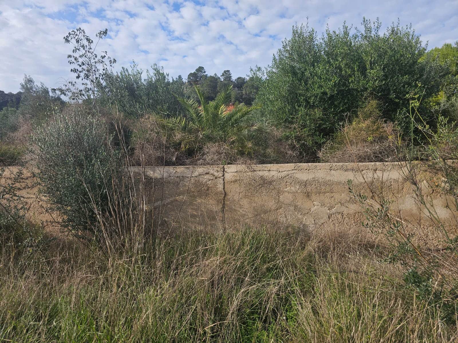 Finca/Landehus til salg i Xerta - € 35.000 (Ref: 8653445)