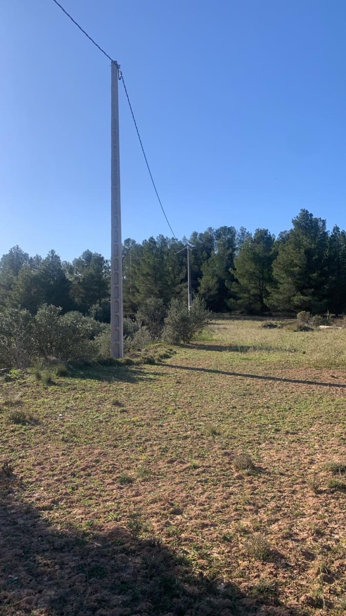 Grunde uden byggetilladelser til salg i Asco - € 25.000 (Ref: 8743853)